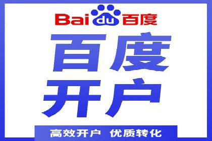 百度竞价排名实战：某行业领先企业的成功之路